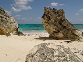 Lots to explore within easy walking distance along the beach