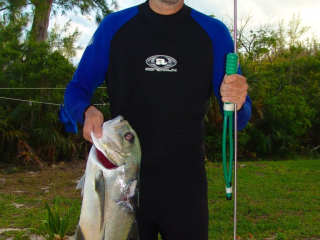 Dinner - caught in Winding Bay