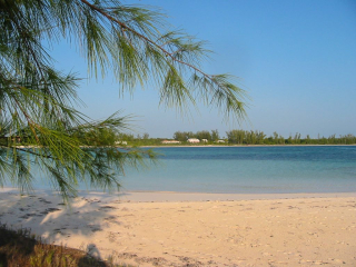 Winding Bay - looking back towards POV