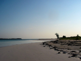 Winding Bay early morning calm