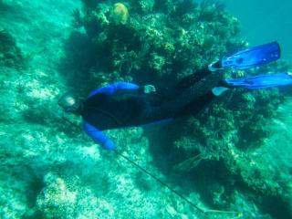 Snorkelling with Hawaiian sling - hoping to catch dinner